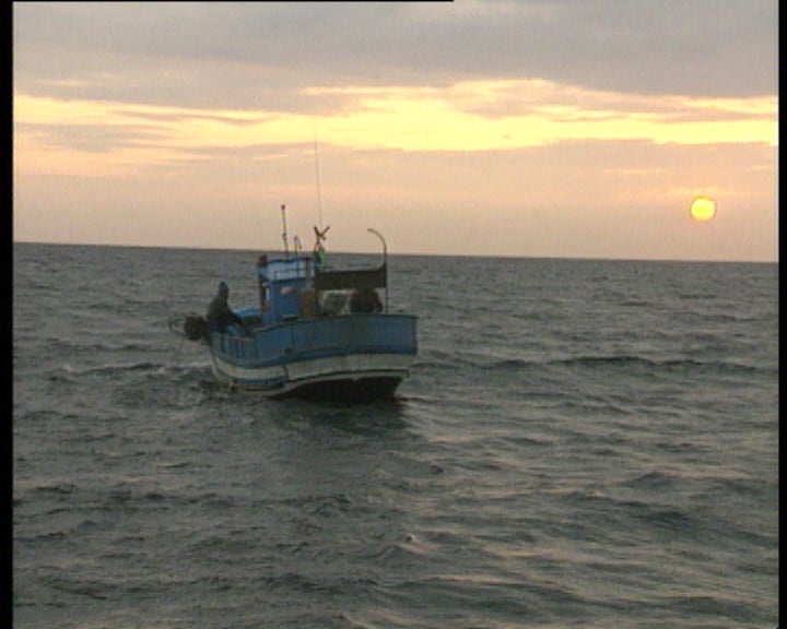 Pesca artesanal em crise