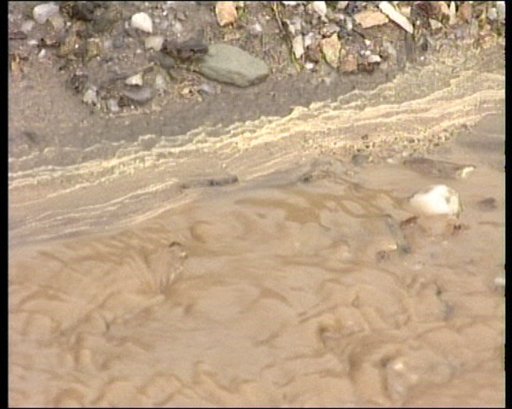 Mau tempo em Bragança