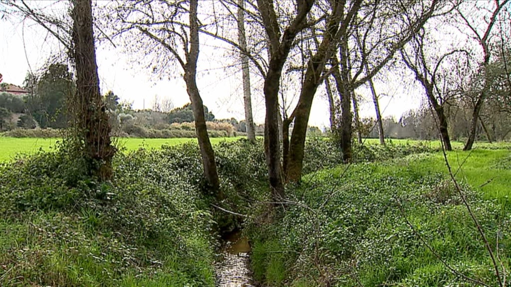 Poluição em Torres Vedras