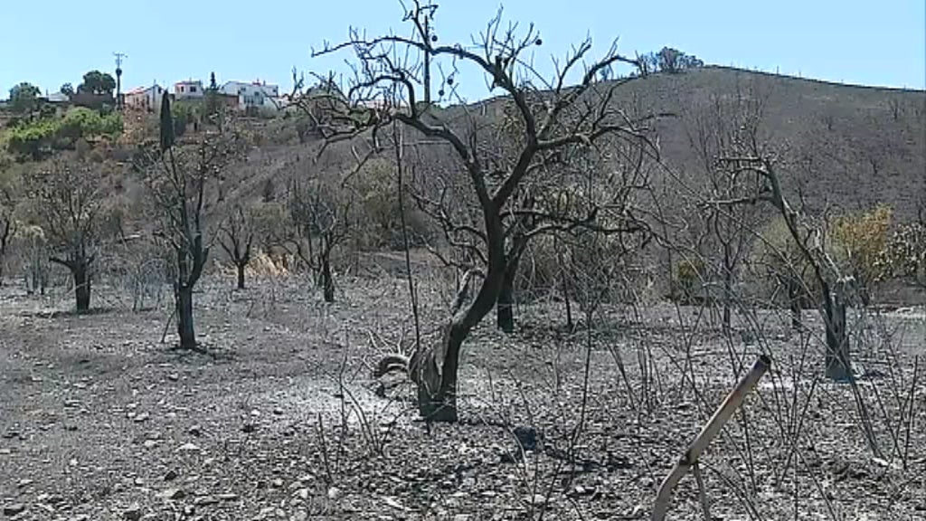 Apoios aos afetados no incêndio de Monchique