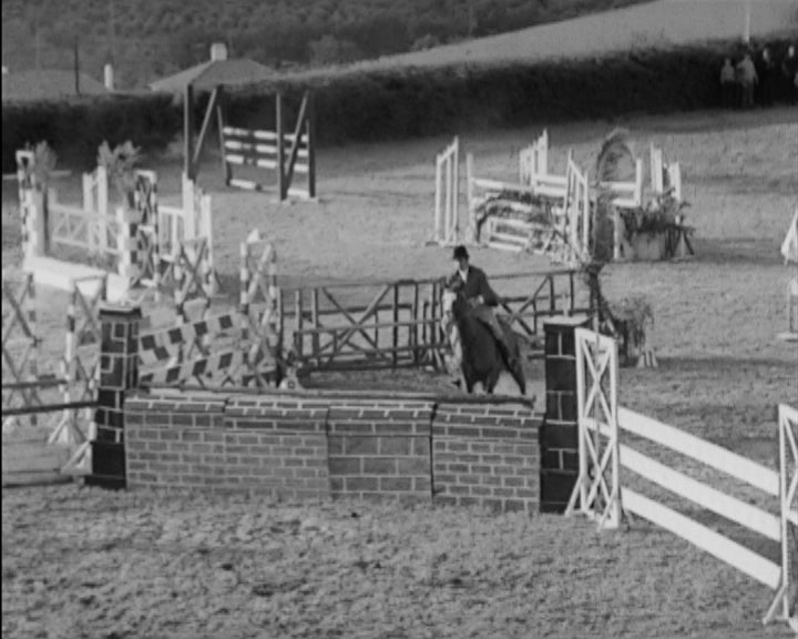 Hipismo: Concurso de amizade Luso Espanhola