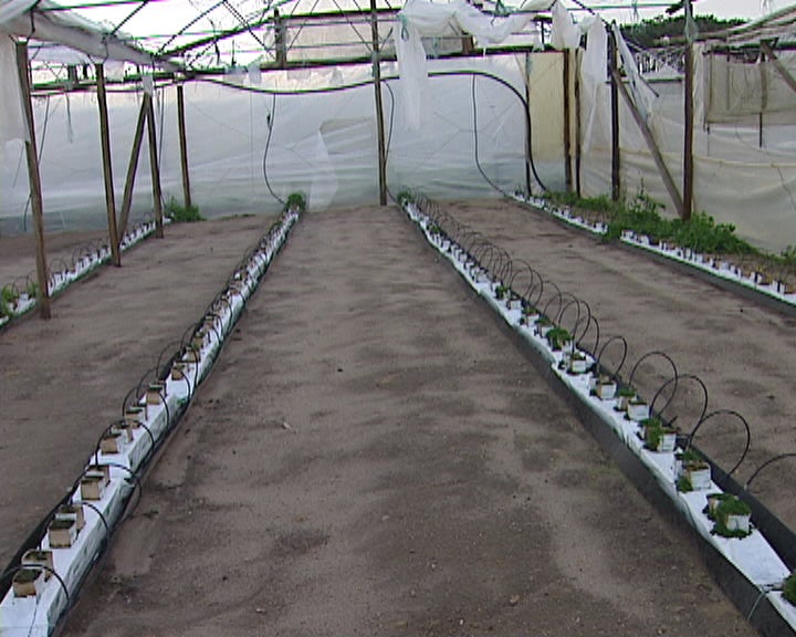 Agricultores Reconstroem Explorações Agrícolas