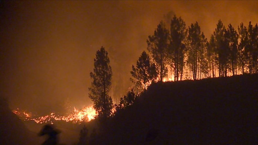 Balanço dos incêndios florestais no centro do país