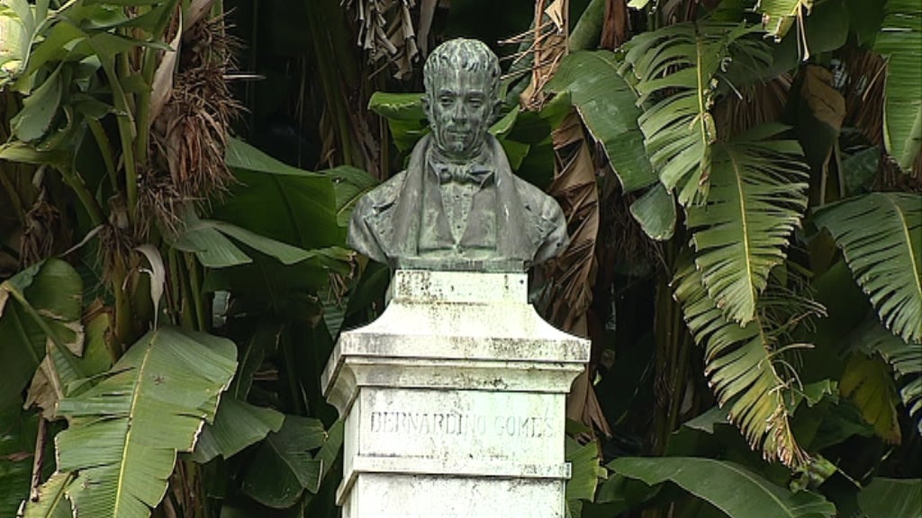 Renovação do Jardim Botânico