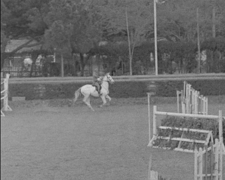 Concurso Hípico da Primavera em Cascais