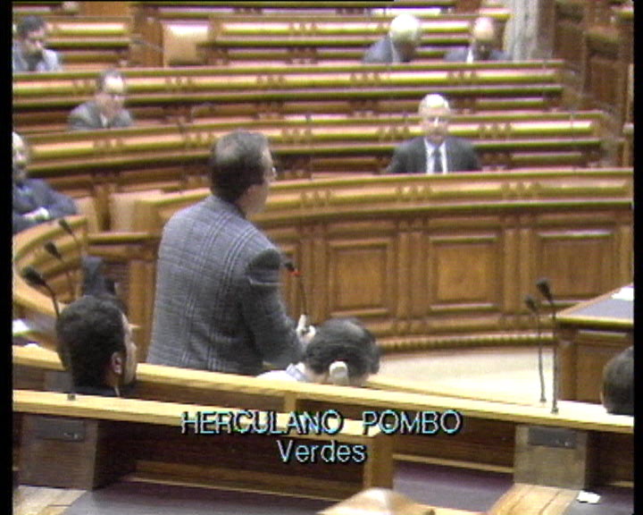 Cheias analisadas na Assembleia da República