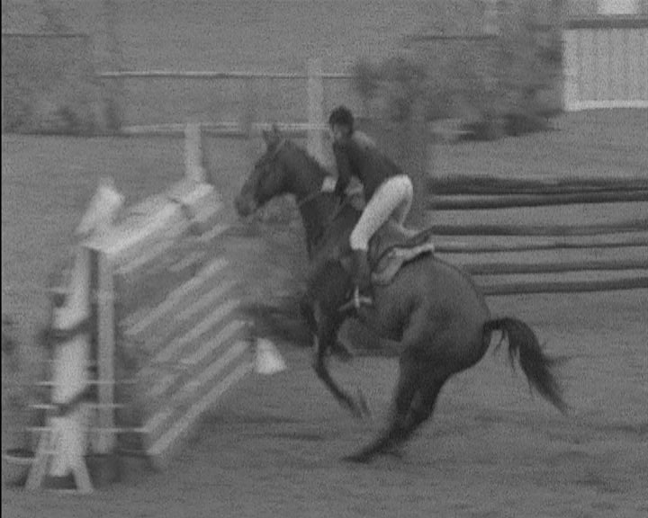 Hipismo: Sexto Concurso Hípico Internacional