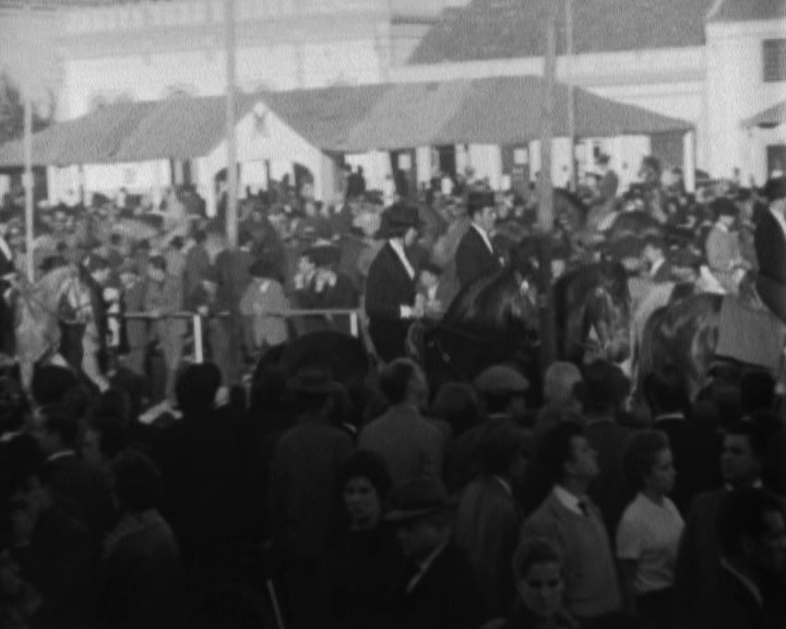 Feira de São Martinho na Golegã