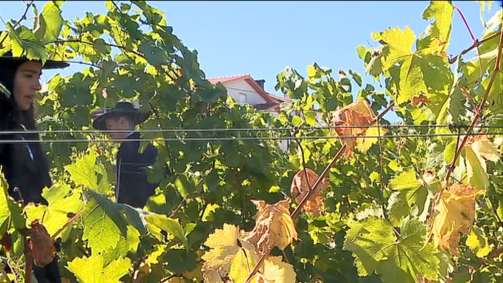 Receção ao caloiro