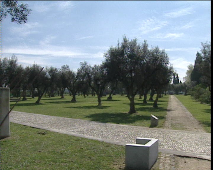 Visita ao campo da batalha de Aljubarrota