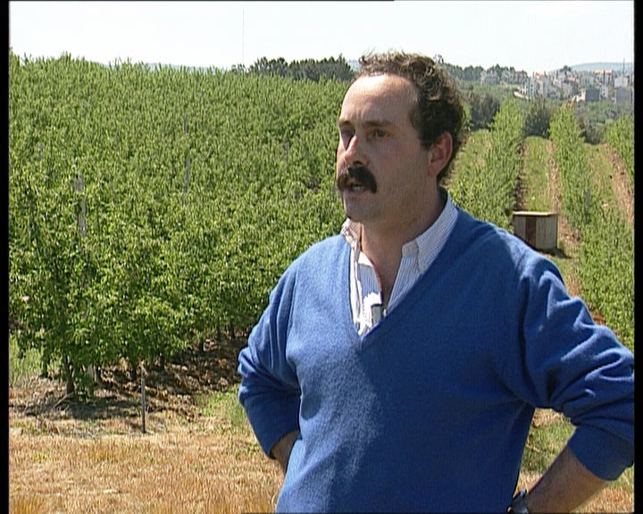 Proteção integrada