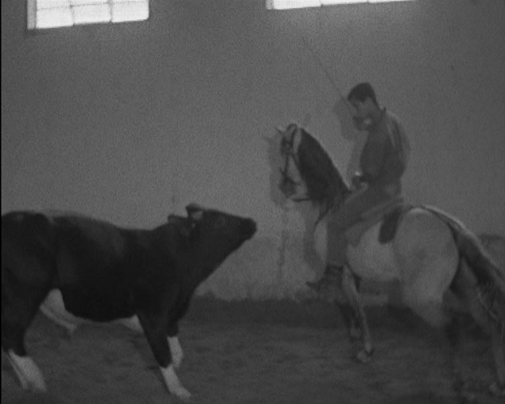 Tourada a favor da Liga Portuguesa Contra o Cancro