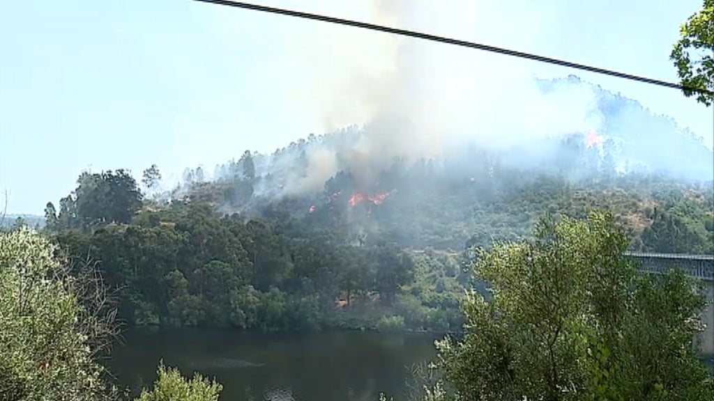 Incêndio florestal em Nisa