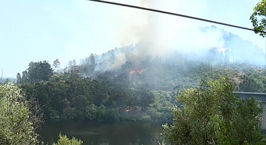 Incêndio florestal em Nisa