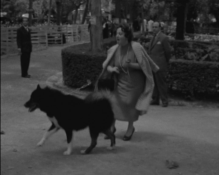 III Exposição canina internacional em Lisboa