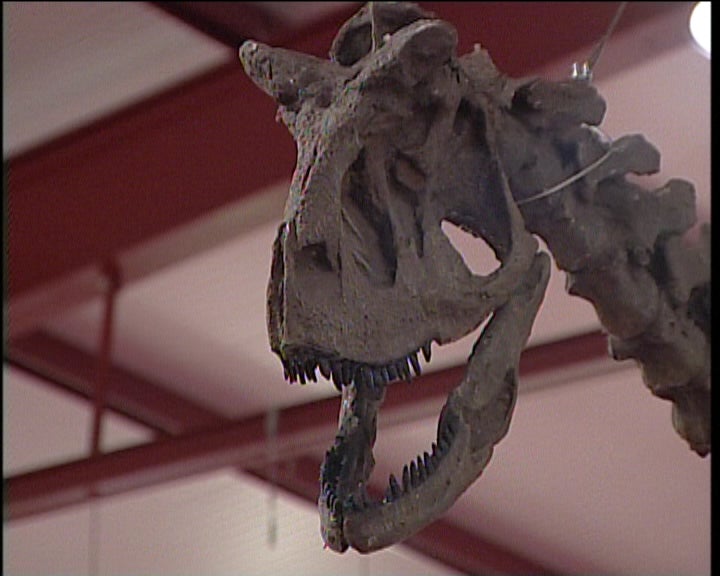 Exposição de Dinossauros