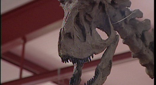 Exposição de Dinossauros