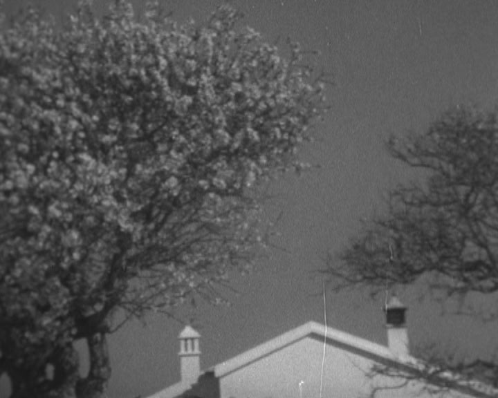 Simbolismo na arte religiosa Cristã