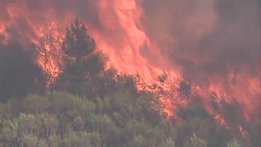 Incêndio florestal em Vila Real