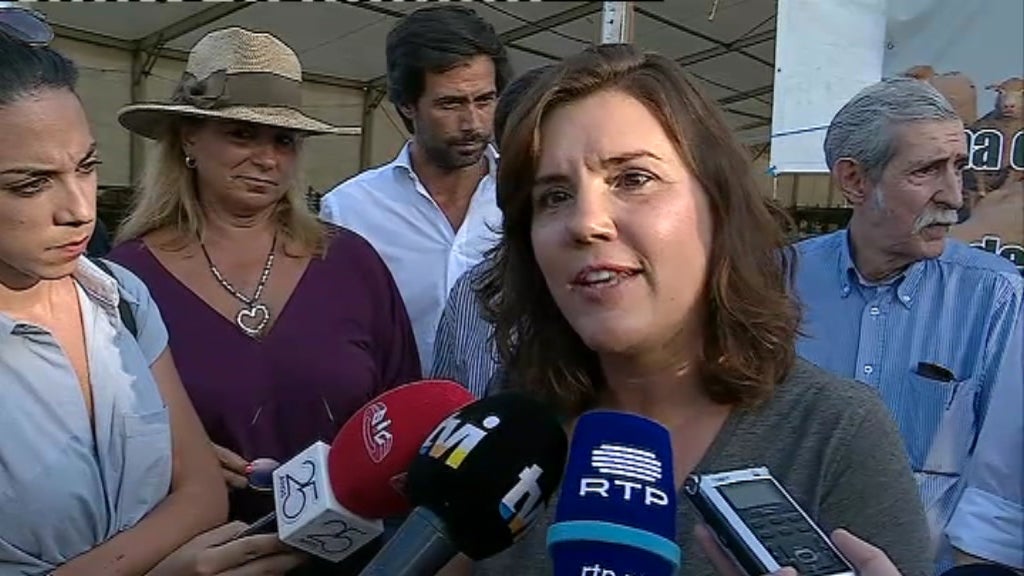 Assunção Cristas critica governo