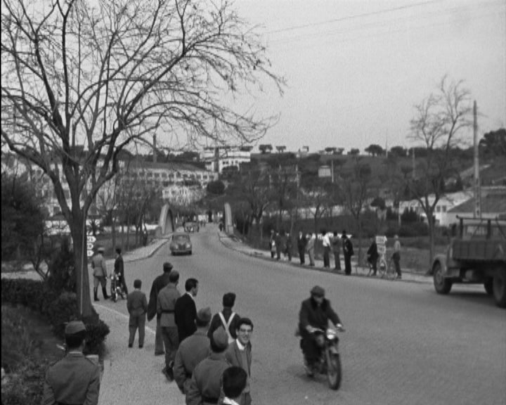 Ciclismo: Campeonatos Regionais de Fundo