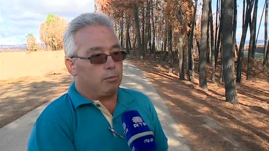 Prejuízo com incêndios florestais