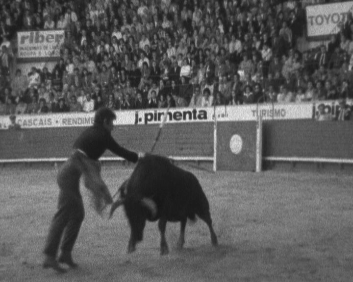 Tourada a favor do Hospital de São João de Deus