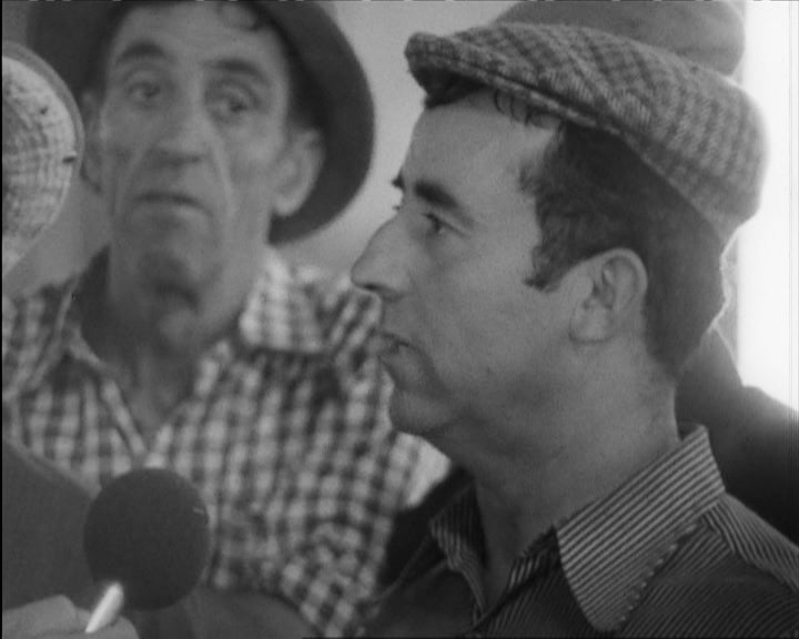 Pequenos produtores de gado no direito de Évora