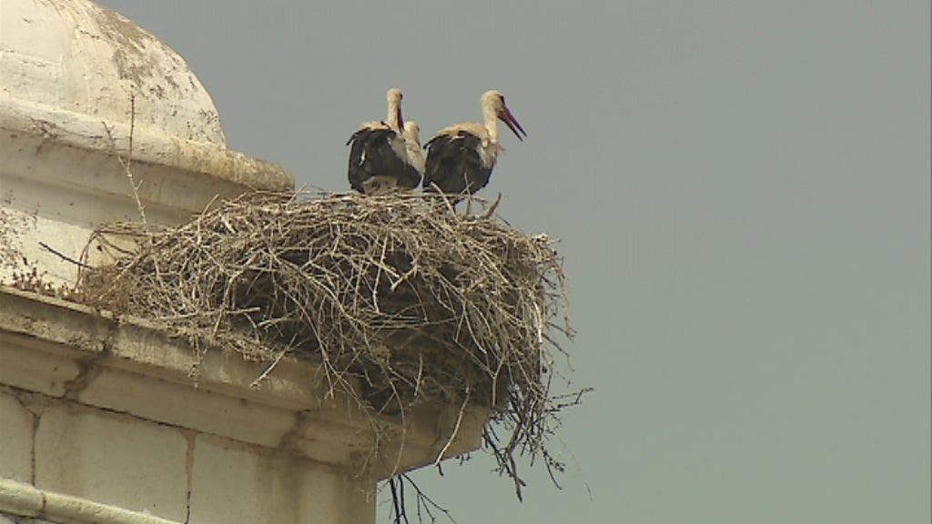 Calor extremo em Alcácer do Sal