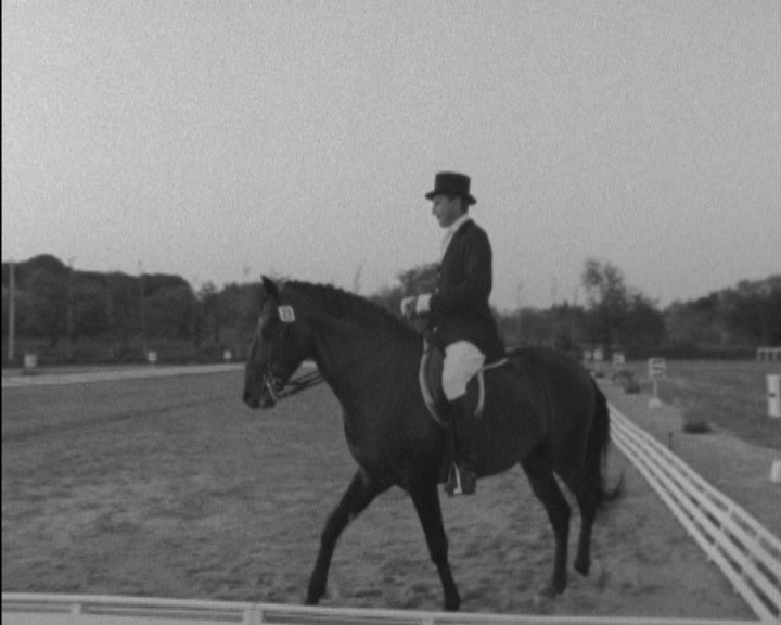 Hipismo: Taça Vilamoura e Taça Algarve