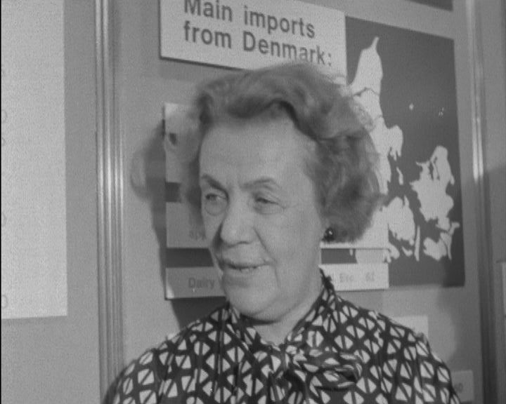 Dia da Dinamarca na FIL