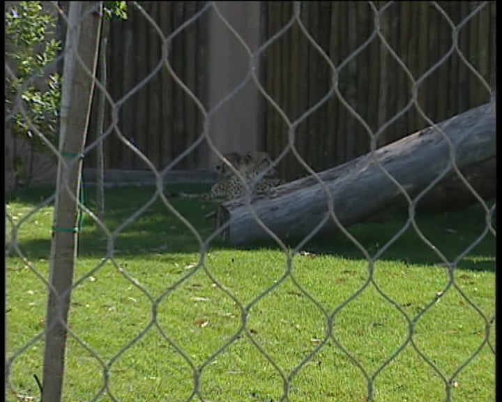 Jardim Zoológico de Lisboa