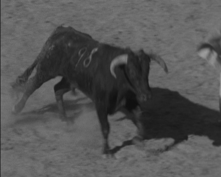 Tourada com picadores