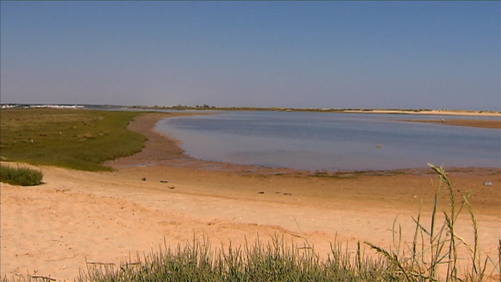Tavira, Capital do Atum