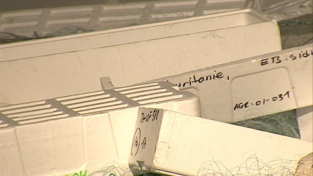 2º aniversário do MAAT