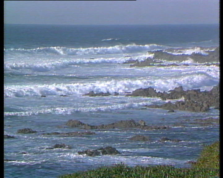 Zona alentejana afectada por mancha negra em 1989 já se encontra limpa