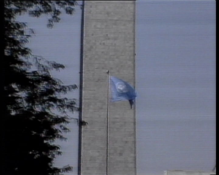 Visita de parlamentares a Timor