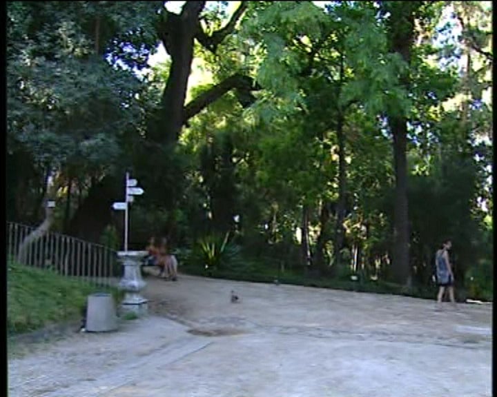 A biodiversidade do Jardim Botânico