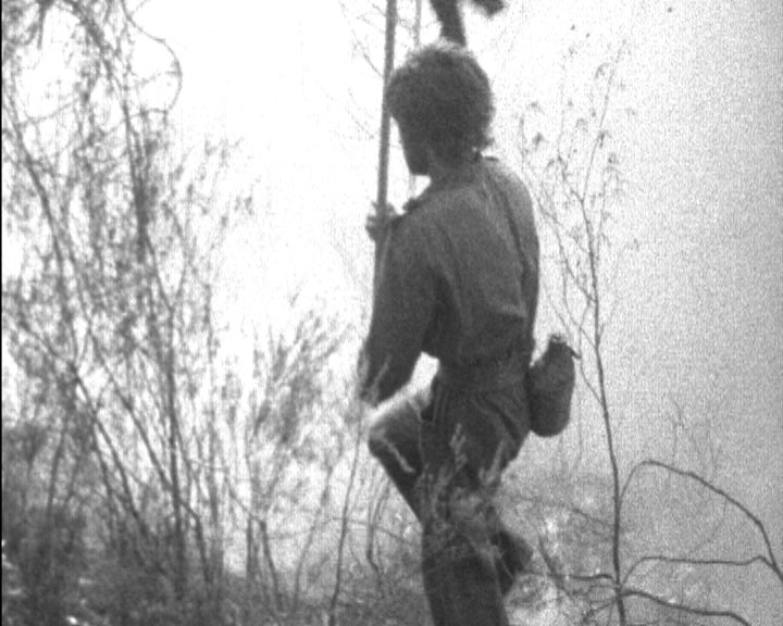 Incêndio em Mourelo