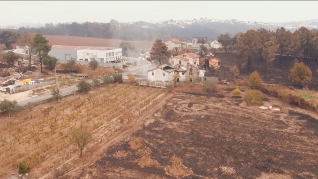 Conselho de Ministros aprova apoios às empresas