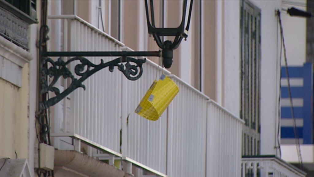 Monitorização de térmitas na Ilha do Faial