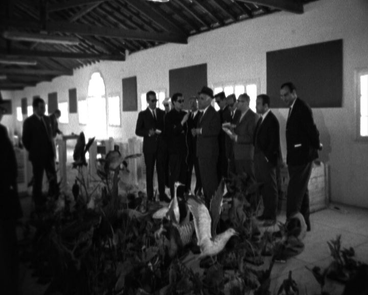 Jornalistas visitam Feira de Santarém