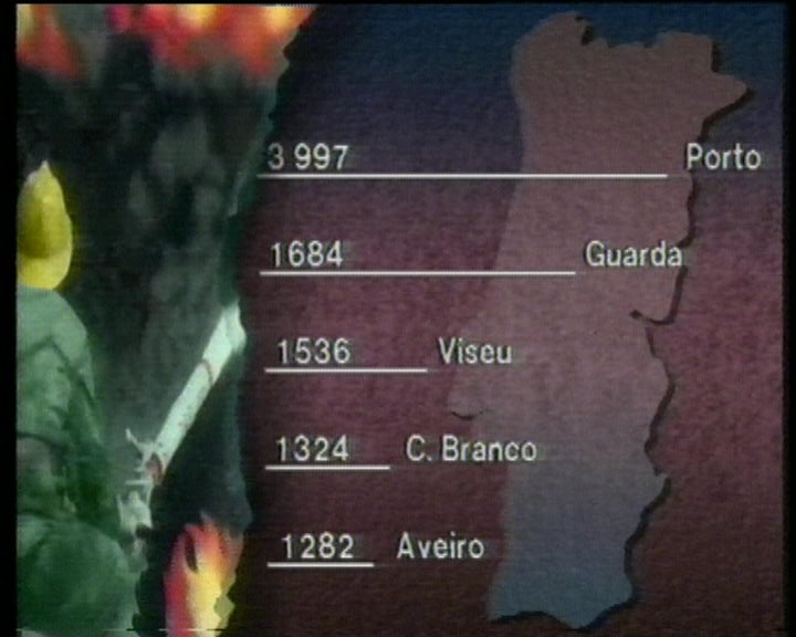 Floresta destruída em Portugal