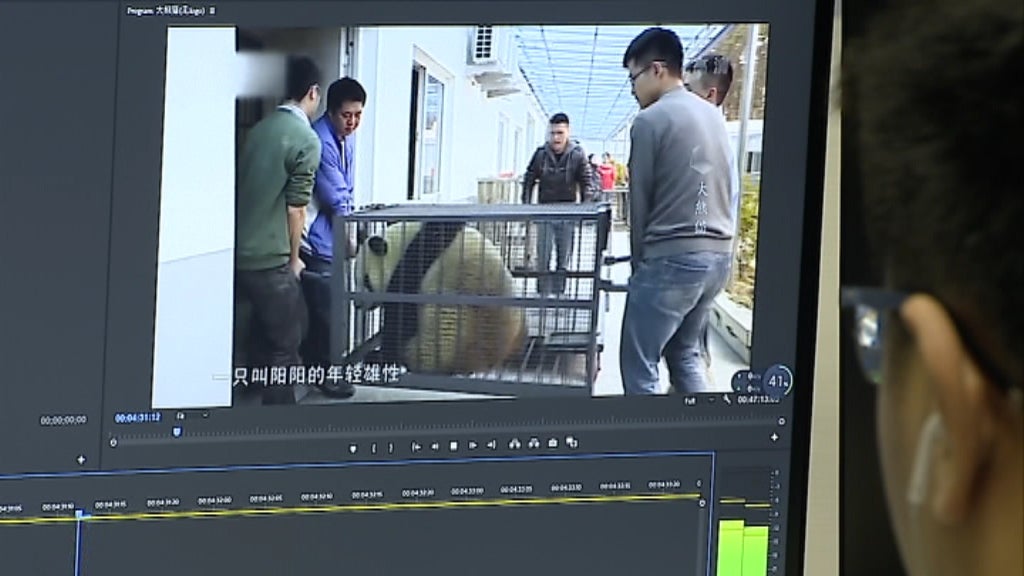 Chineses criam canal de televisão e rádio em Portugal