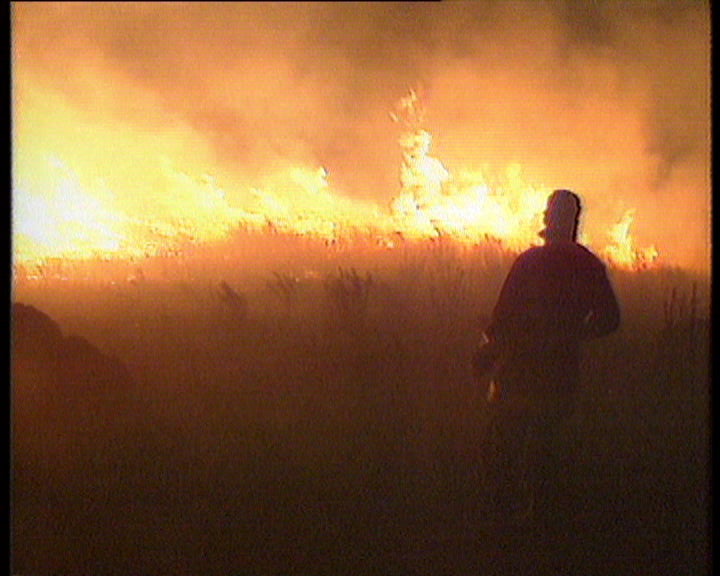 Incêndio de grandes proporções na Guarda