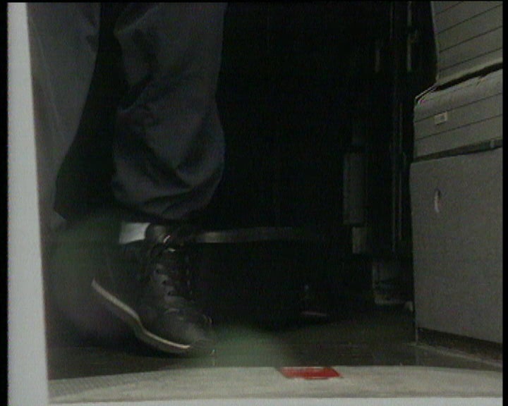 Despistagem da febre aftosa no Porto