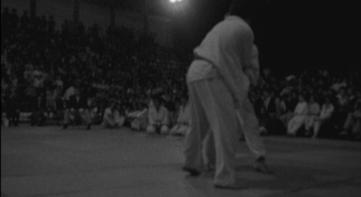 Portugal vs Brasil em Judo