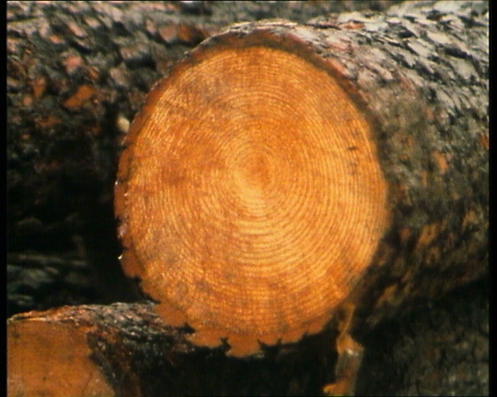 O Negócio das Chamas – Parte I