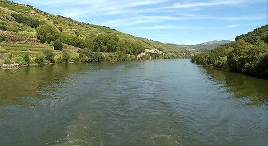 Turismo fluvial no rio Douro