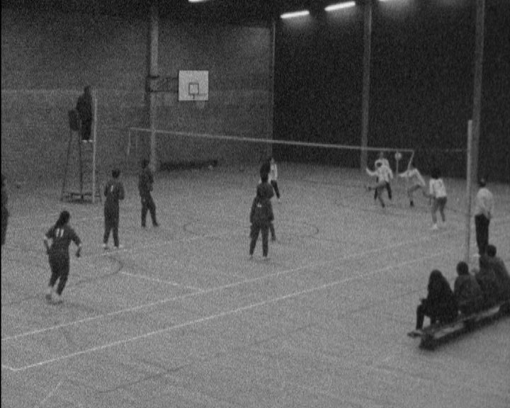 Benfica vs CIF em Voleibol Feminino